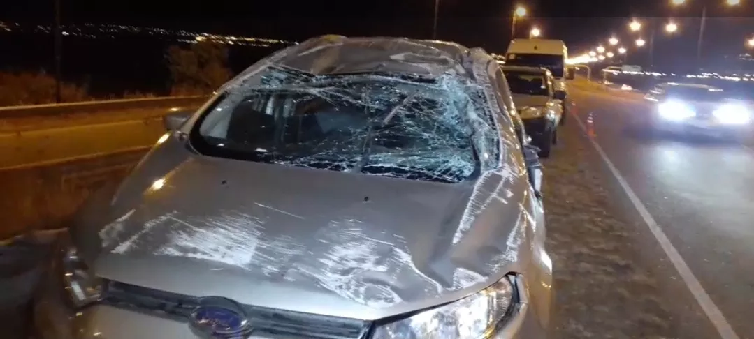 WhatsApp Image 2022-07-18 at 8.21.12 PM