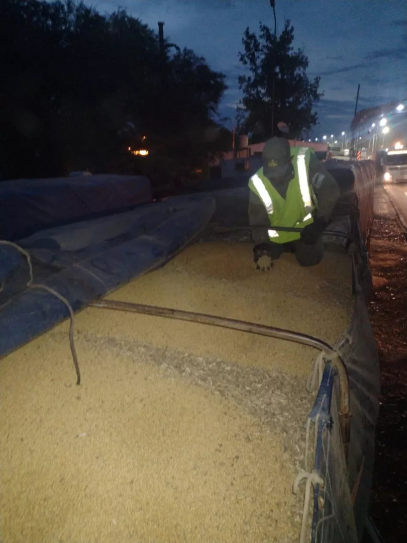 transportaban_ilegalmente_241.000_kilos_de_soja_5