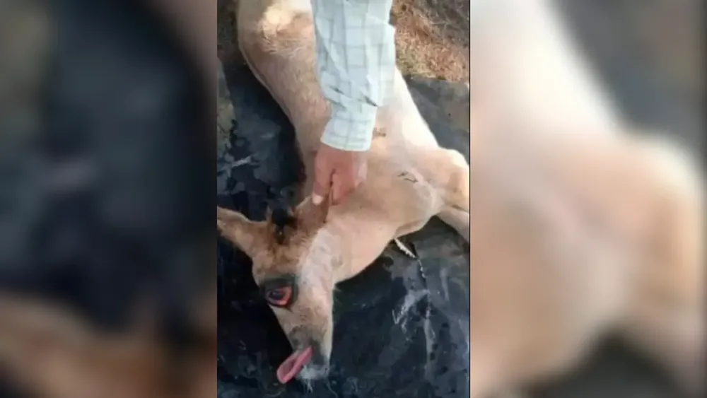 PORTADA PARA TODO SALTA (8)