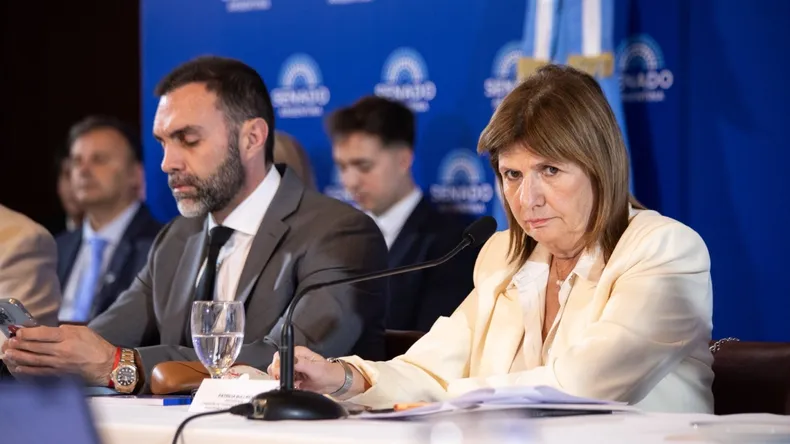 patricia-bullrich-senado