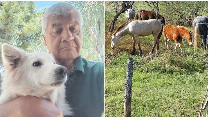 robo_de_caballos_en_san_vicente_crop1705935847389.png_1377258306