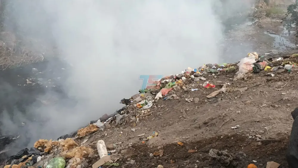 PORTADA PARA TODO SALTA (8)