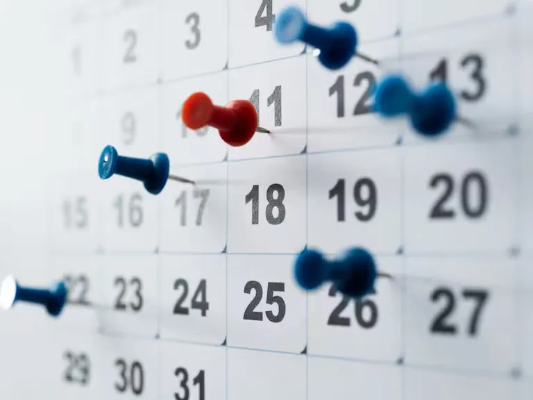 WhatsApp Image 2025-08-28 at 08.55.30