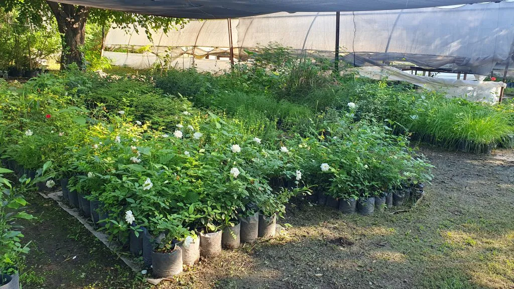 vivero-municipal-23-1024x576