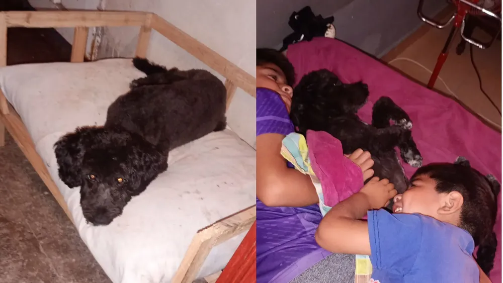 PORTADA PARA TODO SALTA