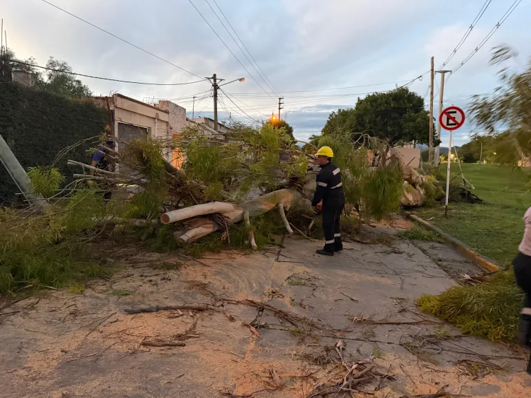incidentes-por-tormenta-3-768x576