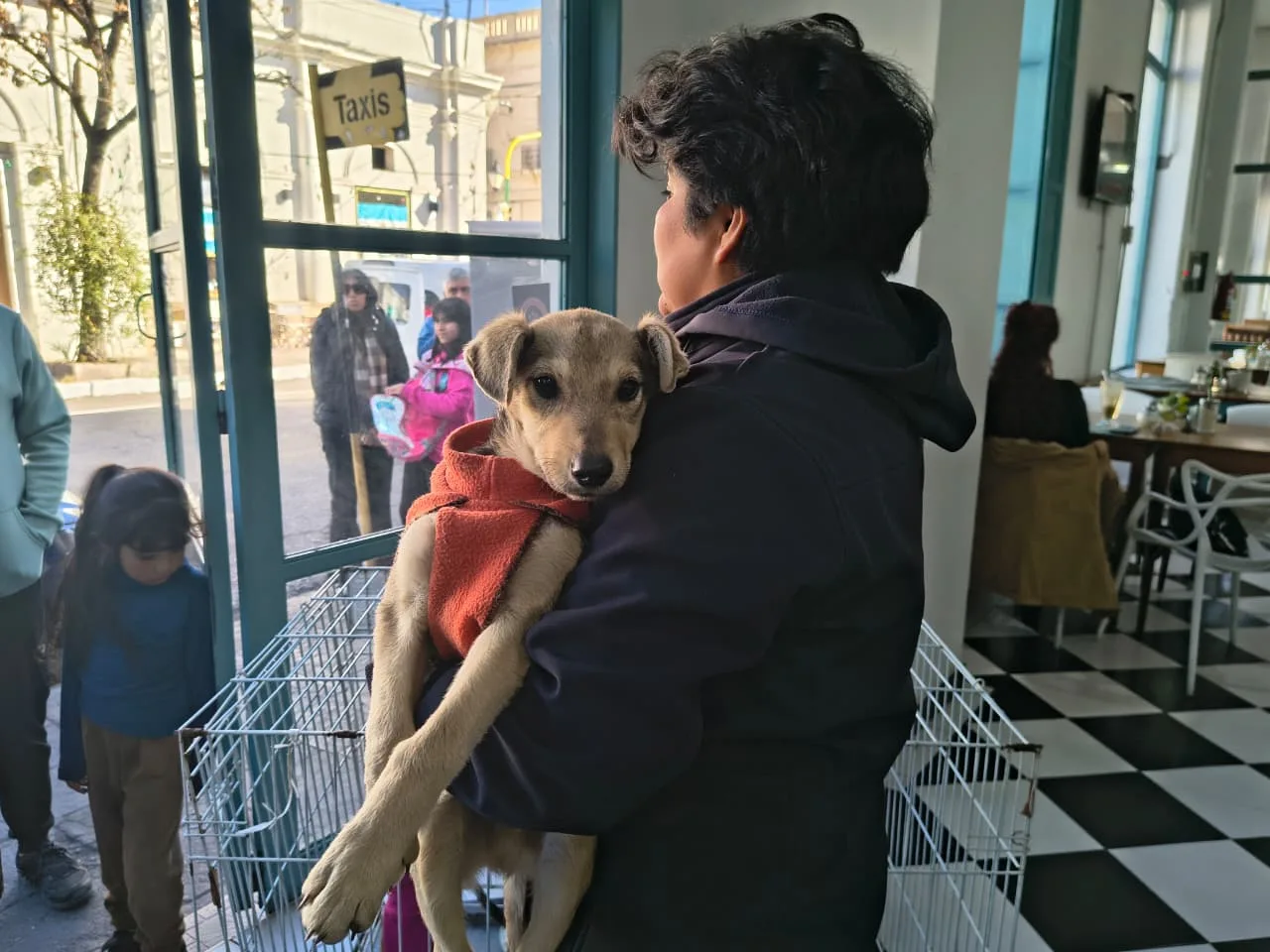 guemes-y-mitre-jornada-de-adopciones-6