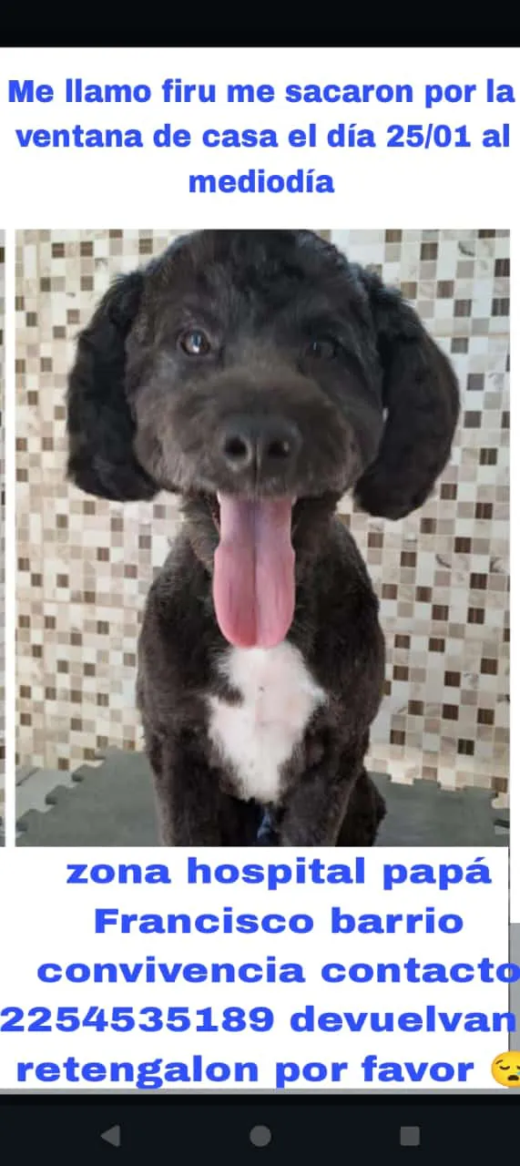 WhatsApp Image 2025-01-28 at 22.08.33