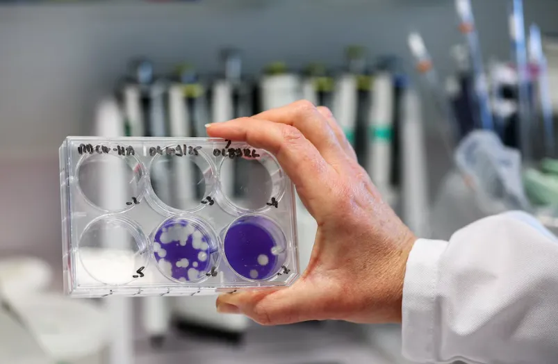 multimedia.normal.aa5764936df1461b.bm9ybWFsLndlYnA=