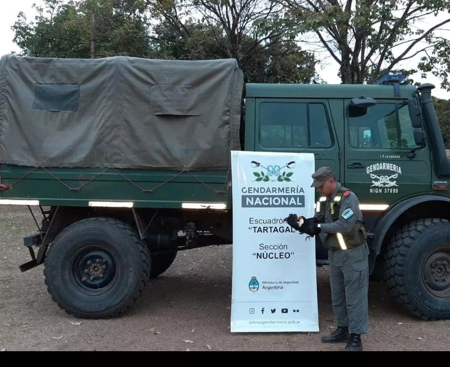 Gendarmes rescatan a un tucán herido