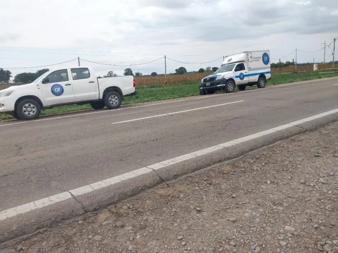 Imagen-de-WhatsApp-2023-06-05-a-las-11.28.41-696x522