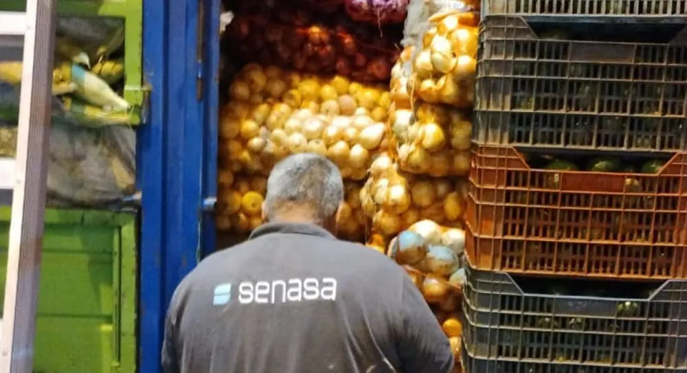 WhatsApp Image 2024-11-16 at 07.24.36 (1)