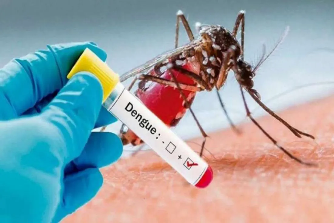 102736-confirmaron-el-segundo-caso-de-dengue-en-el-norte-de-salta