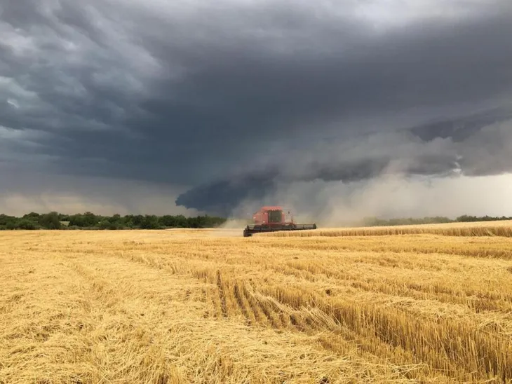 cosecha-tormenta-santa-rosa