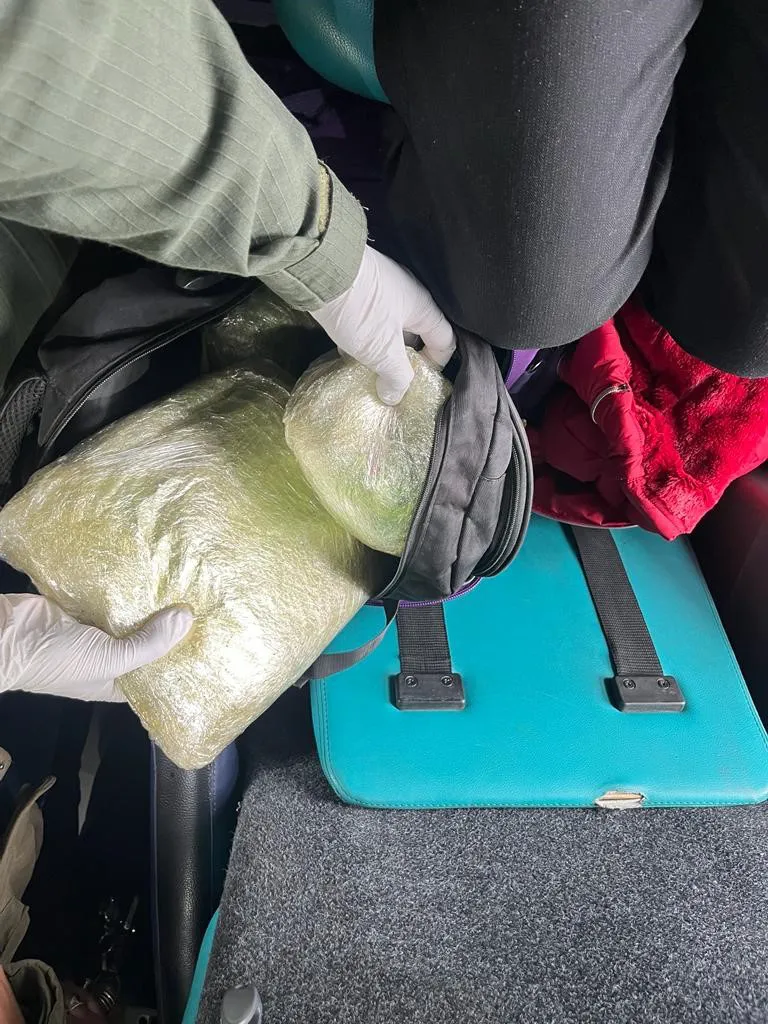 trancas_tucuman_marihuana_1