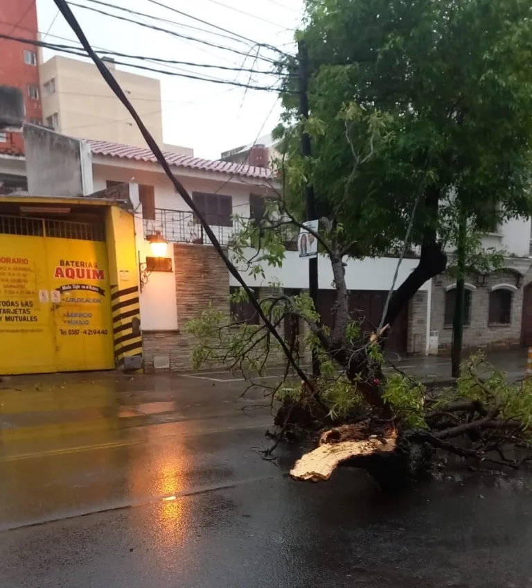 incidentes-por-lluvia-768x848