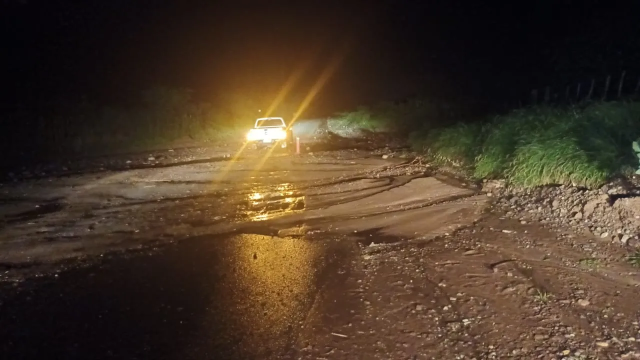 multimedia.normal.8072a2c5208e4a41.bm9ybWFsLndlYnA=