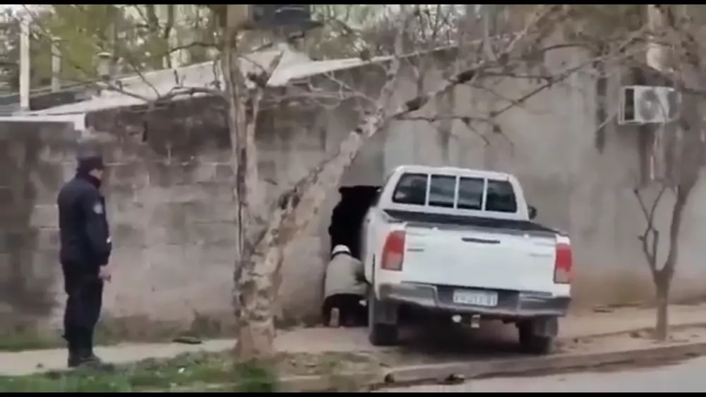 para fotos o videos del portal