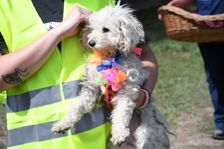 vacunacion-antirrabica-17-768x512