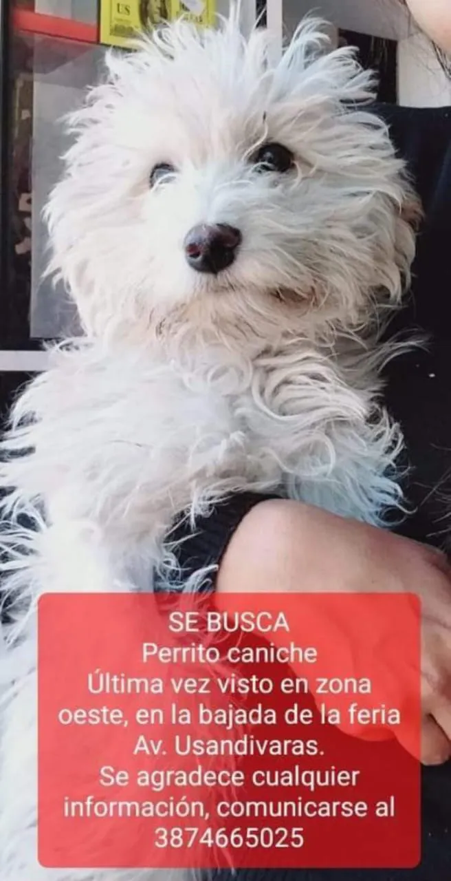 WhatsApp Image 2024-11-21 at 12.00.50