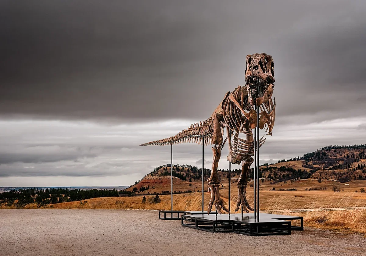 trexbueno-RkyggGUmApFAxeOG0XjahzL-1200x840_diario_abc