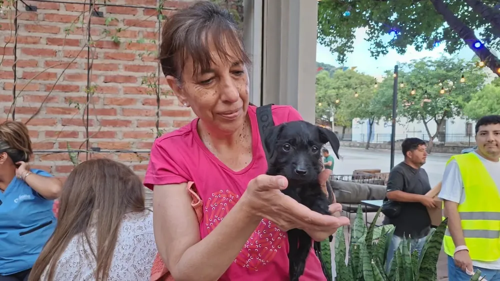 cita-a-ciegas-5-1536x864