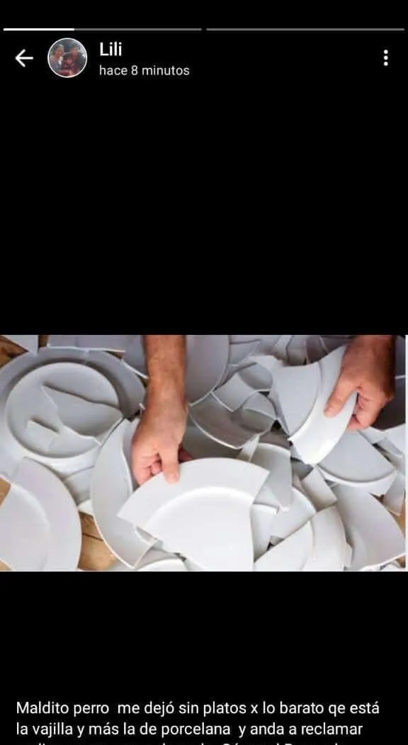 474734075_1984432098730877_4456264708302807422_n