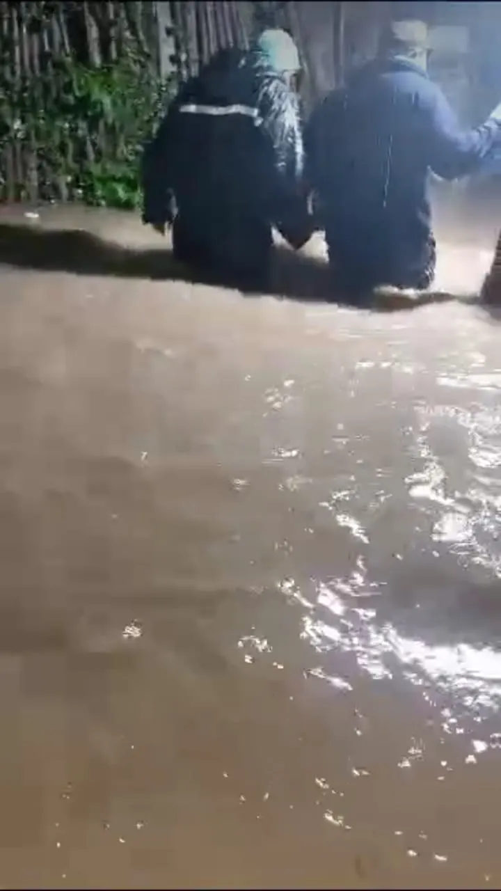 WhatsApp Image 2024-01-17 at 03.44.48