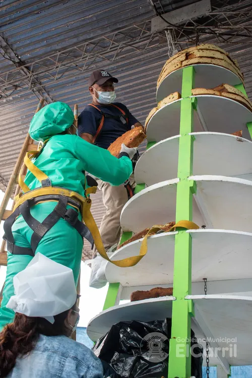 413895654_713991527494557_7033681726540883233_n