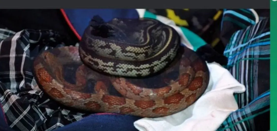 WhatsApp Image 2024-03-13 at 08.44.38