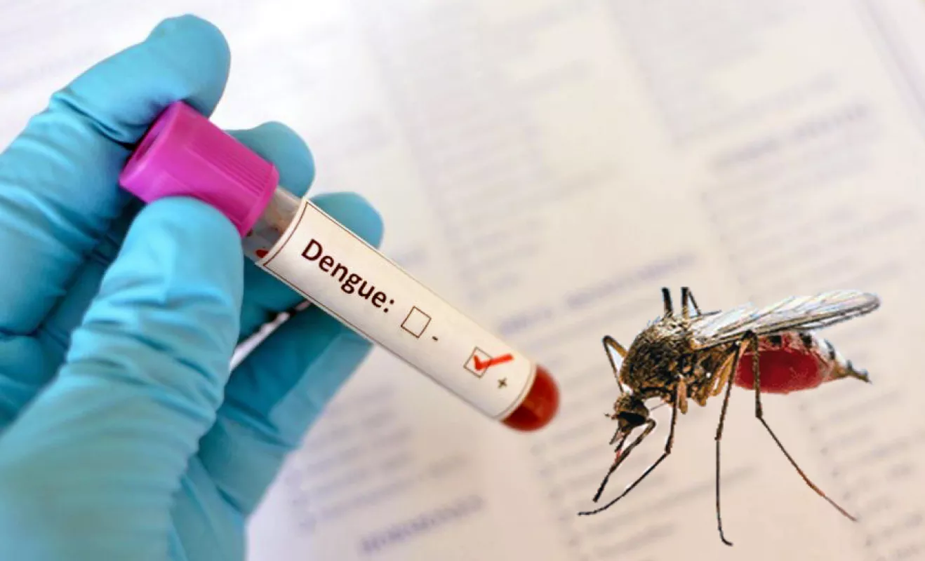 72030-en-la-ultima-semana-crecieron-mas-de-un-80-los-casos-de-dengue-en-salta