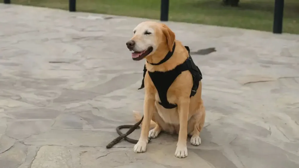 PORTADA PARA TODO SALTA (25)