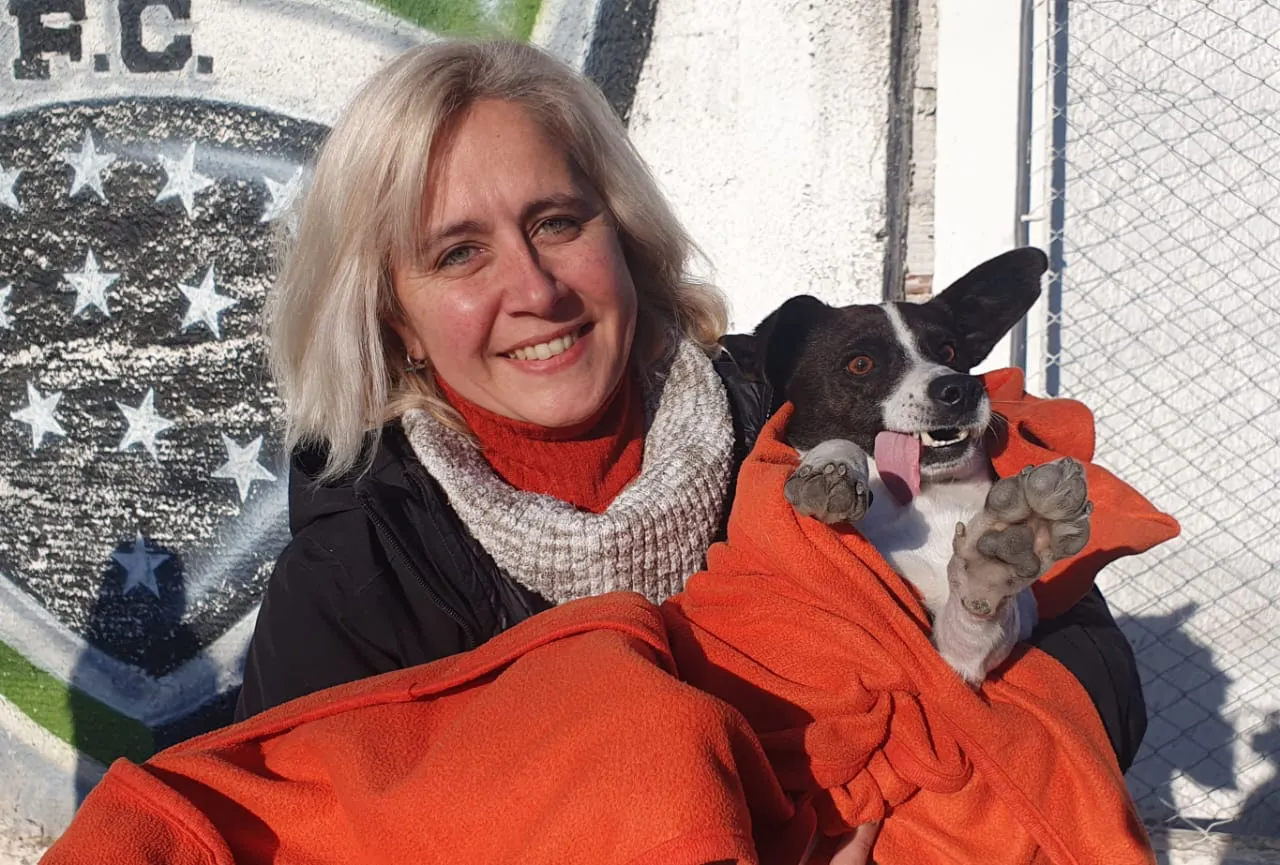 vacunacion-antirrabica-vitale-4