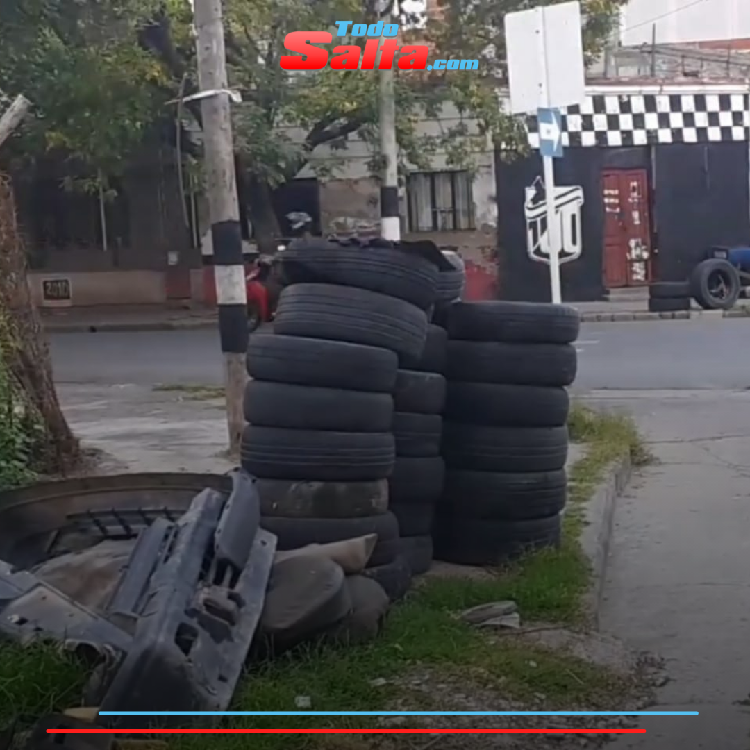 todo salta micro b