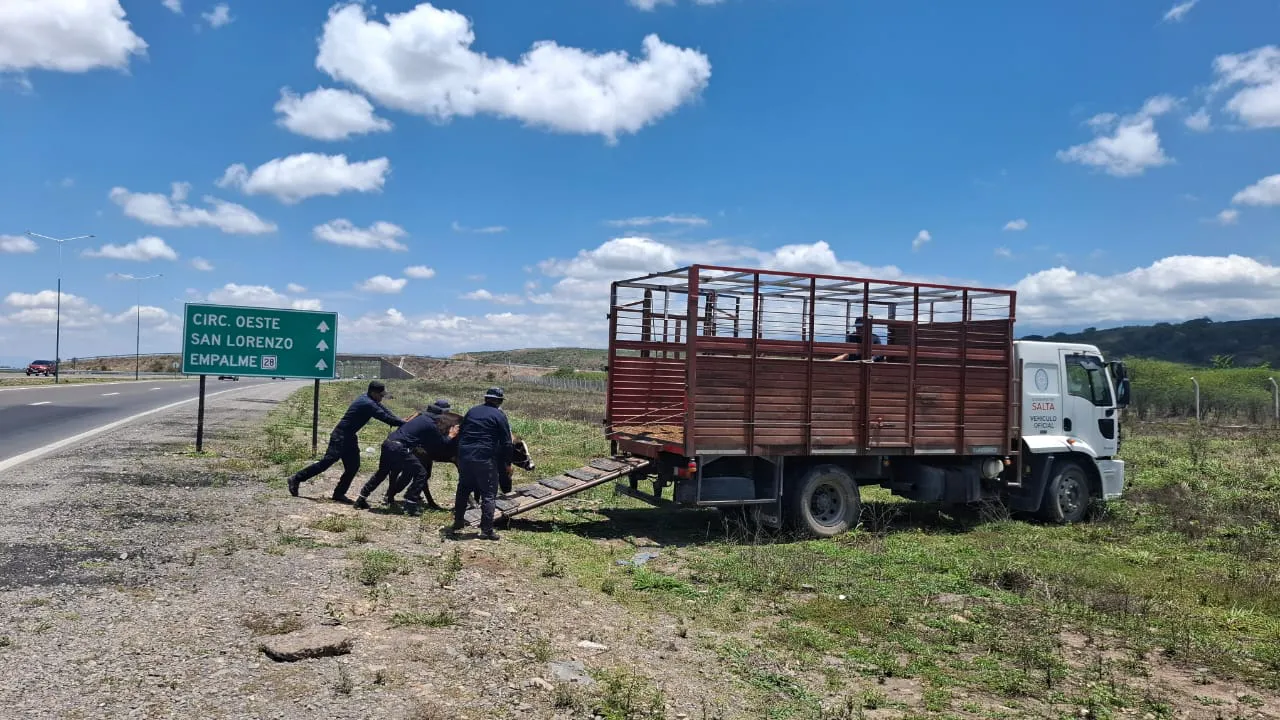 WhatsApp-Image-2025-11-03-at-18.50.59