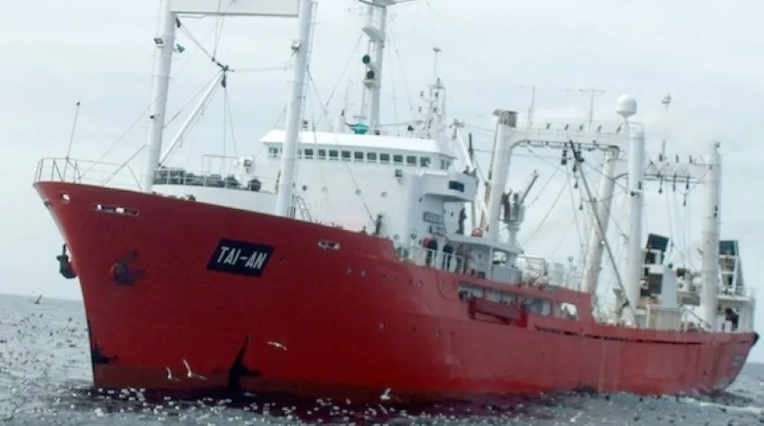 WhatsApp Image 2024-03-20 at 11.33.07