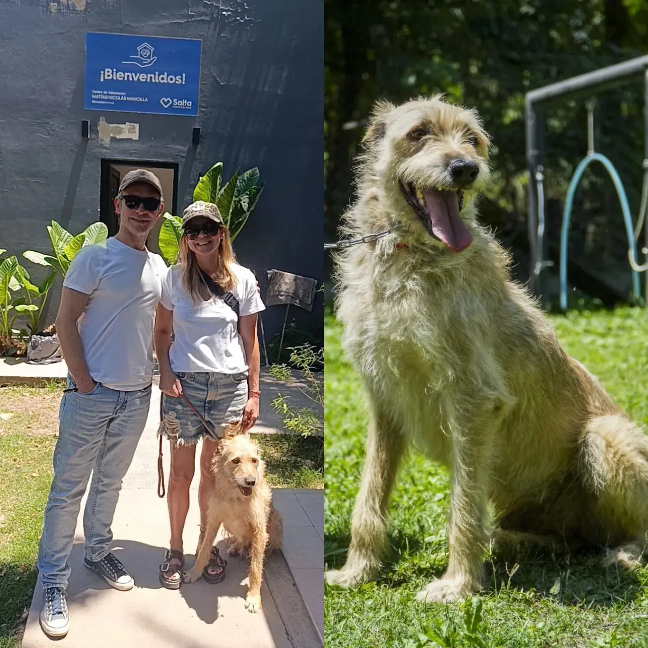 WhatsApp Image 2025-11-20 at 07.01.19 (1)