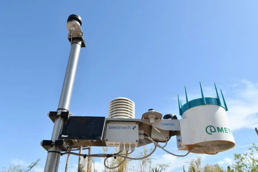 WhatsApp Image 2024-08-14 at 10.33.17