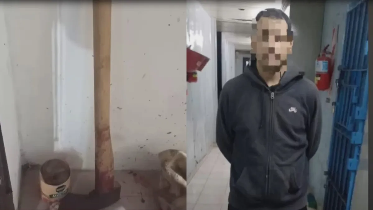 horror-laferrere-mato-su-madre-y-se-entrego-un-sanatorio
