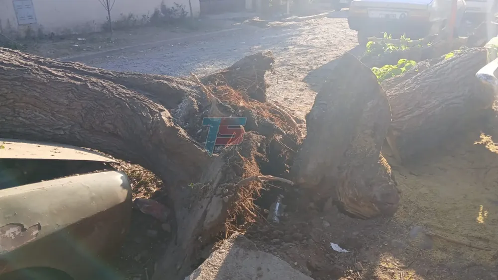 PORTADA PARA TODO SALTA (4)