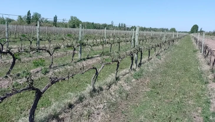 emergenciaagropecuariajpg