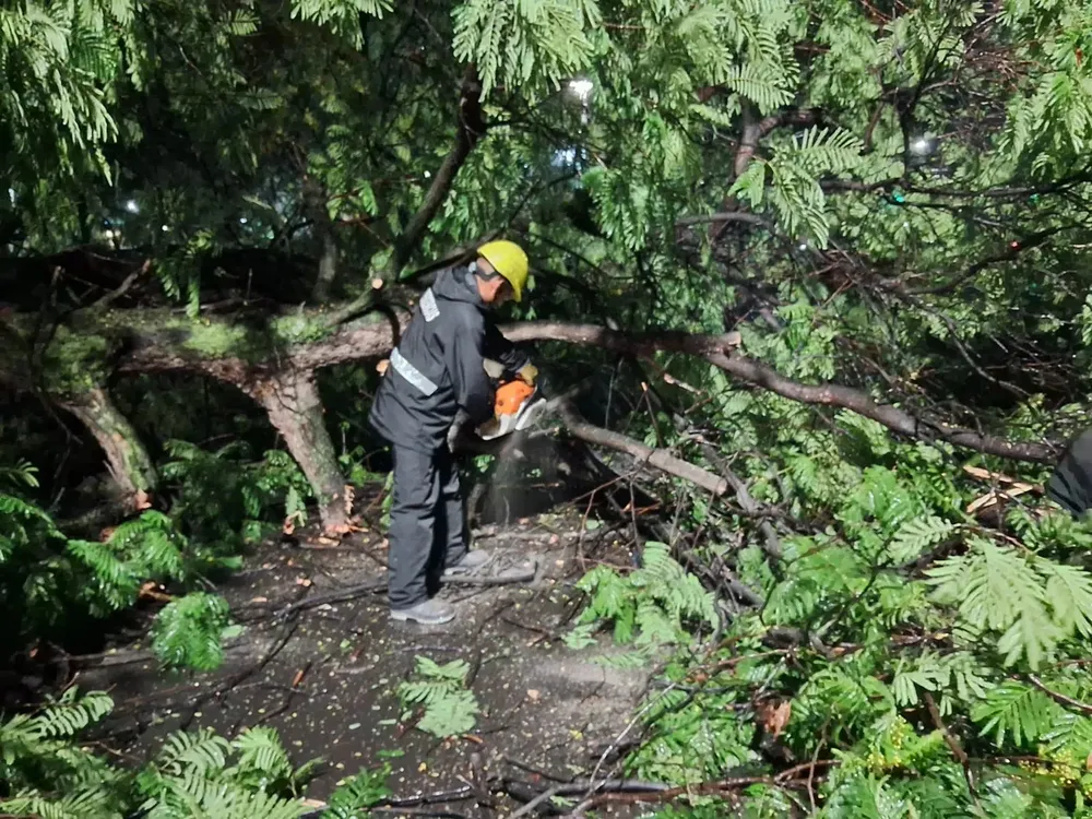 WhatsApp Image 2026-01-19 at 09.13.20