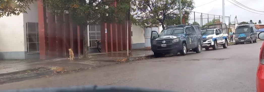 Captura de pantalla (29)