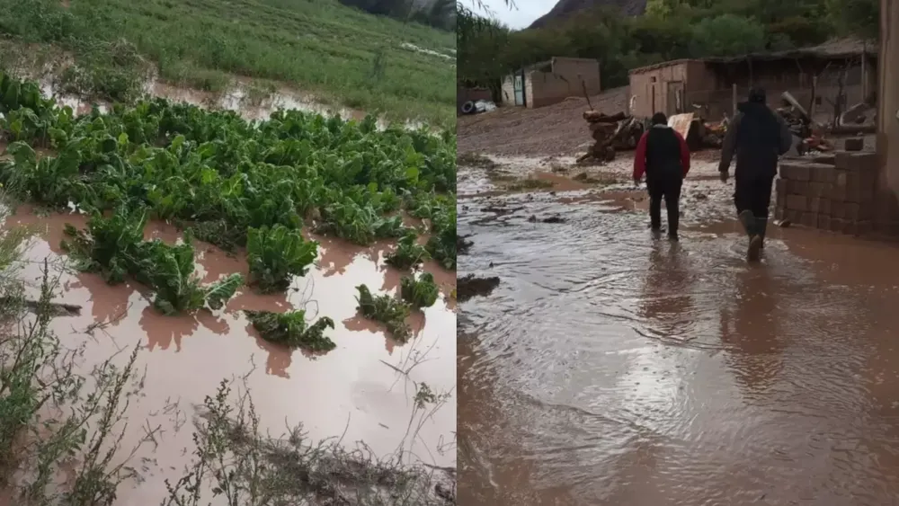 PORTADA PARA TODO SALTA (2)