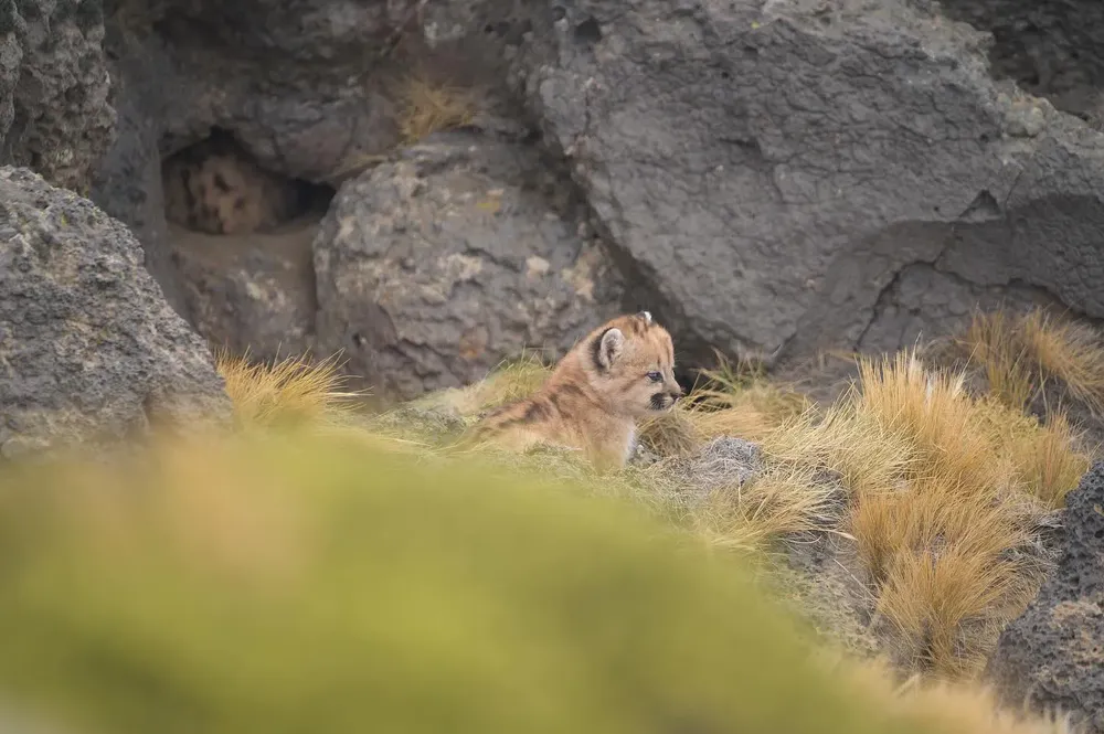 432763837_18331745263186407_6311792325050501063_n