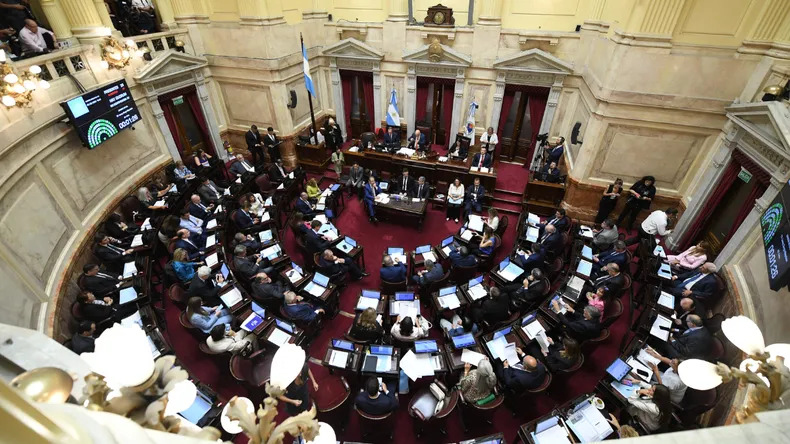 senado