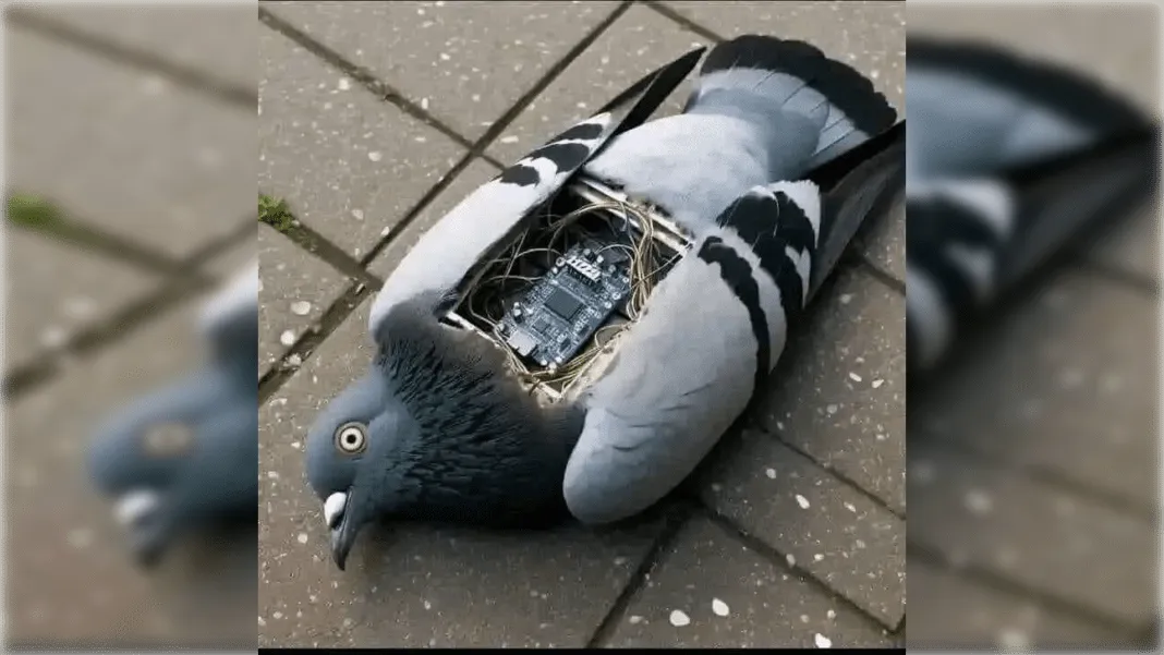 WhatsApp-Image-2024-07-08-at-19.49.56_16x9-1068x601