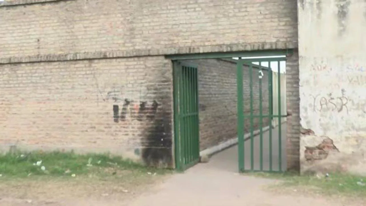 nenearmarosario_large