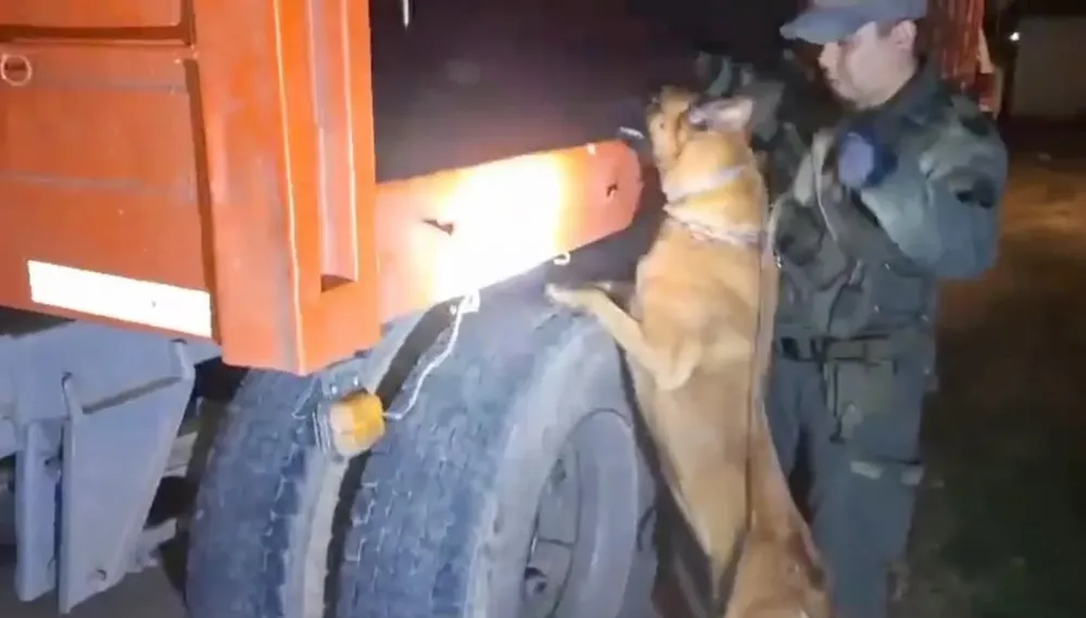 431 kilos de cocaína - Salta (1)