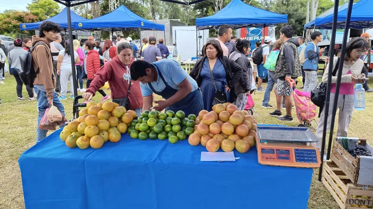 el-mercado-en-tu-barrio-18-768x432